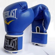 Premium boxing Everlast gloves