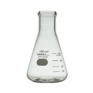 Erlenmeyer FLASK 100 Ml. Erlenmeyer Pumpkin. Iwaki
