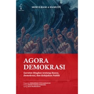 AGORA DEMOCRACY, Summary of Power, Democracy and Public Policy