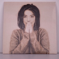 Bjork - Debut Vinyl LP Record Album