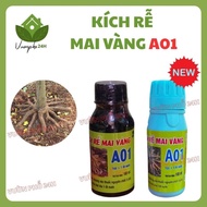 Yellow Apricot Root Stimulator A01 (Buy 3 get 2 free), Effective Root Stimulating Fertilizer for Bon