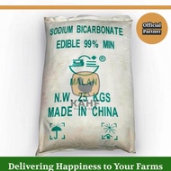 Baking Soda Kue 1 karung 25 kg Sodium Bicarbonate Malan Food Grade Edible [KAHF PS]