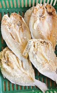 Ikan Masin Gelama Belah/ Salted Gelama Fish Cut Flat (FRESH/ Ready Stock)