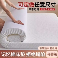 Peninsula Memory Foam Mattress Tatami Mat