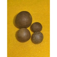 PHOR THAN THIT WAT MACHIMMARAM LOOP OM KELANTAN