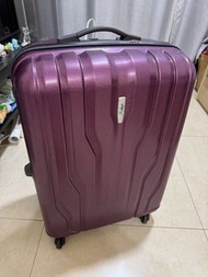 Skybags 紫色行李箱