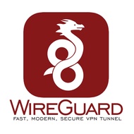 Personal WireGuard server with Public Dedicated IP