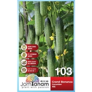 Jom Tanam (103) Grand Bonanza Cucumber Seeds