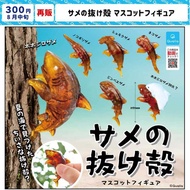 Nikkono Genuine Japanese Qualia Shark Cicada Skeleton Seaside Discovery Small Skeleton Shark Cicada 
