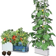 Smart Hydroponic Growing System Kit, Safe and Durable Indoor Gardening System, Suitable for Growing 