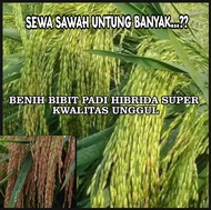 BENIH BIBIT PADI HIBRIDA SUPER 06 KWALITAS UNGGUL GENJAH TAHAN SEGALA