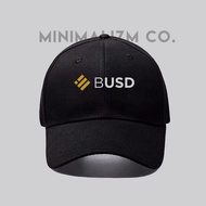 PREMIUM USD BUSD BINANCE HAT