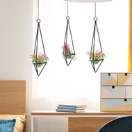in stock Wrought Iron Metal Airplant Rack Gemometric Planter Holders Tillandsia Hanger Display Flowe