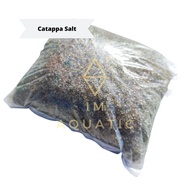 Ketapang Leaves | Salt | Aquarium |Fish Medicine | Super Square