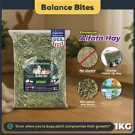 Balance Bites Premium Alfafa Hay Timothy Hay Orchard Hay USA 1KG
