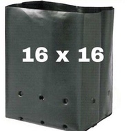 💥LARIS💥 Sekeping Polybag Hitam Tebal Black Polybag 16x16 Fertigasi