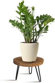 OBTAIN  Indoor Outdoor Plant Bracket  Wooden Plant Stool  Medieval Plant Stand  Suitable for indoor 