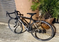Cannondale CAAD 10 公路車