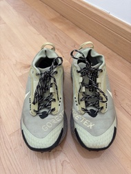 Nike Gore-Tex. trainers