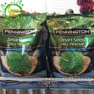 Japanese grass seeds 4.5kg (10lbs) up to 924m smart seed grass seeds