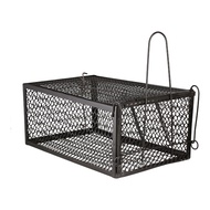 Mouse Trap / Rat Trap | Local Instock