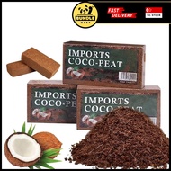 (BundleMart) Compressed Coco Peat Block Brick Plant Soil Vegetable Flowers Fruits Gardening Tools CO