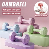 新款1kg-3kg dumbbell heksagon dumbbell g20260902