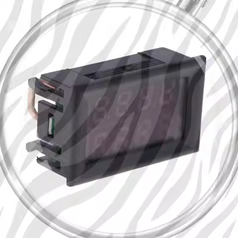 0-10A 0.28 inch DC 0-100V Two-Wire Digital Display Voltmeter Connection Reverse Protection Lines Vol