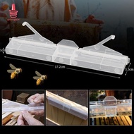 [trysingoin] 5/10Pcs Hive Beetle Trap Clear Plastic Reusable Beetle Trap Bee Health Suitable For Hiv