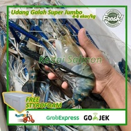 Udang Galah Siper Segar Gede Jumbo Besar 1 kg isi 4-6 ekor