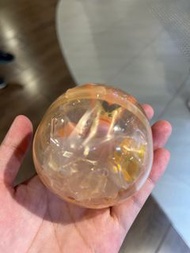 Winnie the pooh扭蛋