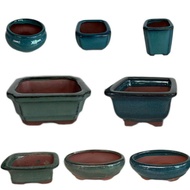 BONSAI POT PASU BONSAI MINI