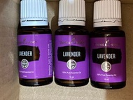 Young Living 精油 lavender 薰衣草