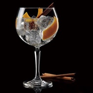 Connexion 琴酒杯 Gin&Tonic 600ml