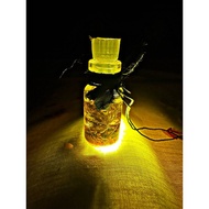 RAJA CENUAI..........