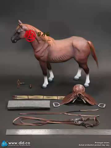 1/6 Action Figures Model DID E60084 brown military horses Whole box New unopened in stock