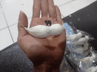 Kumis Putih dengan Aksen Kumis palsu untuk Pakaian Pria > Bawahan > Celana