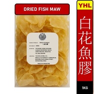 白花魚膠 White Croaker Fish Maw (1KG)