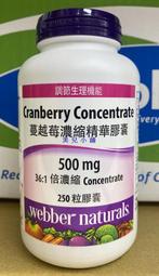 美兒小舖COSTCO好市多代購～Webber Naturals 蔓越莓濃縮精華膠囊500mg(250粒/瓶)