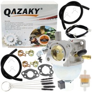 Carburetor 808725 846280 846944 847395 305772-0004-G1 305777-0033-G1 305777-0150-B1 305777-0151-B1 3