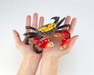 全新兩款如圖從未使用（不散賣）Kaiyodo  REVOGEO  Vol.2 Red-clawed Crab 紅爪蟹 & Kaiyodo RevoGeo Vol.1 Emperor Scorpion 