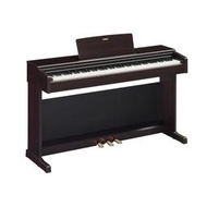 【全方位樂器】YAMAHA YDP-145 YDP145 數位鋼琴 電鋼琴 (白色/玫瑰木色)