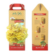 Kin Yan Fresh Golden Oyster Mushroom Growing Kit