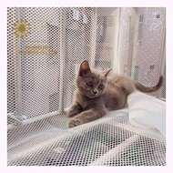 [DANDELION]Window mesh door mesh pet mesh Plastic Window Net /Plastic Mesh Balcony Stair Fence Prote