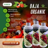 Baja Evergreen Guarana Malaysia