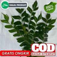 Daun kari /Daun Temurui /Daun salam koja