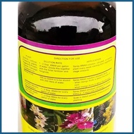 ┐ ╱ ❤ ANAA PLANT GROWTH HORMONE 1liter