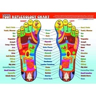 foot reflexology poster chart BIG Baoyu Art