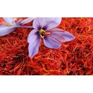 SAFFRON FROM IRAN - ORGANIK