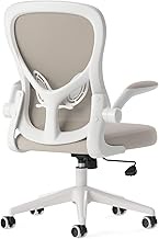 Hbada Ergonomic Office Desk Chair, Computer Desk Chair with Folding Armrest and Lumbar Support, Adju